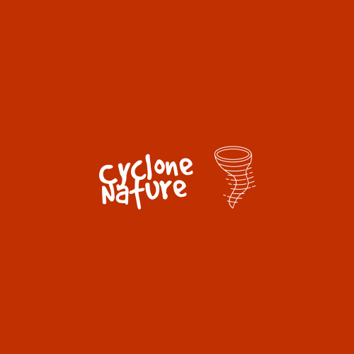 Logo Du Cyclone