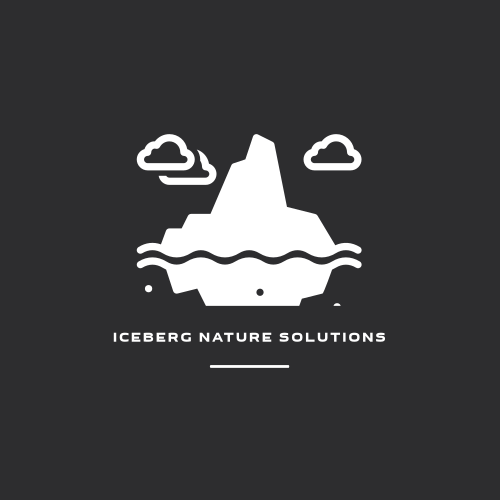 Logo De L'iceberg