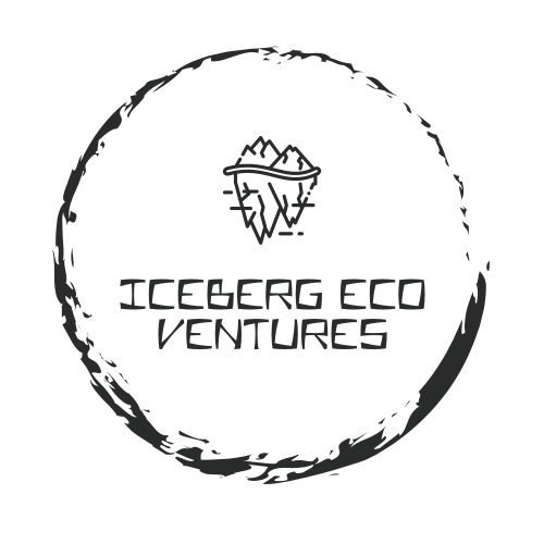 Logo De L'iceberg