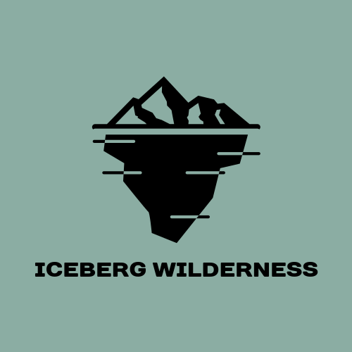 Logo De L'iceberg