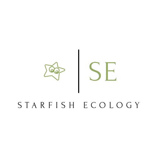 Logotipo De Estrella De Mar