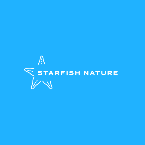 Logotipo Da Estrela Do Mar