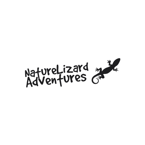 Lizard logo