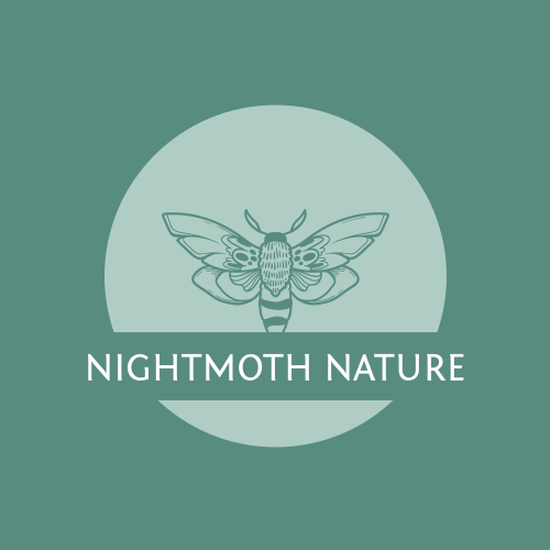 Moth logo