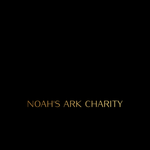 Noah's ark logo