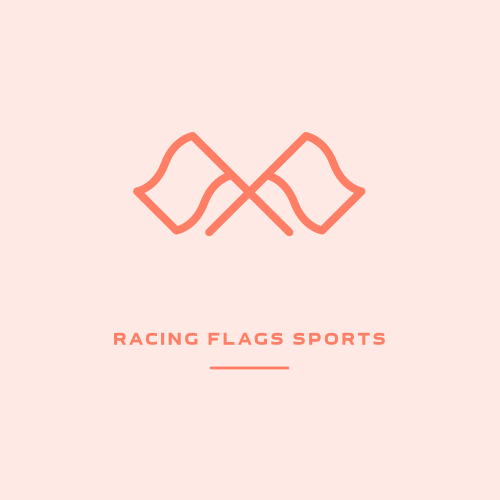 Logo Des Drapeaux De Course