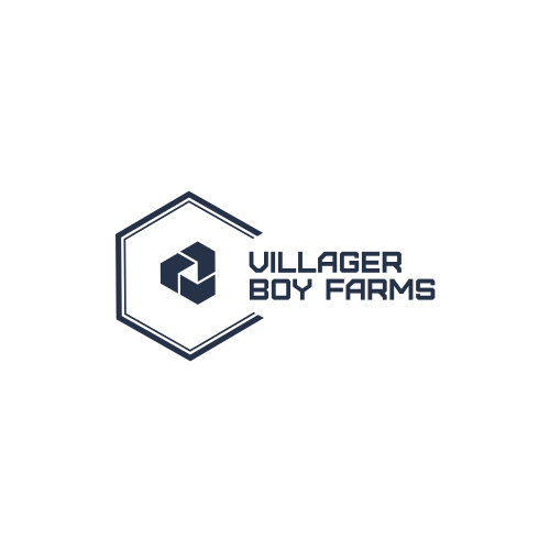 Logo Du Villageois