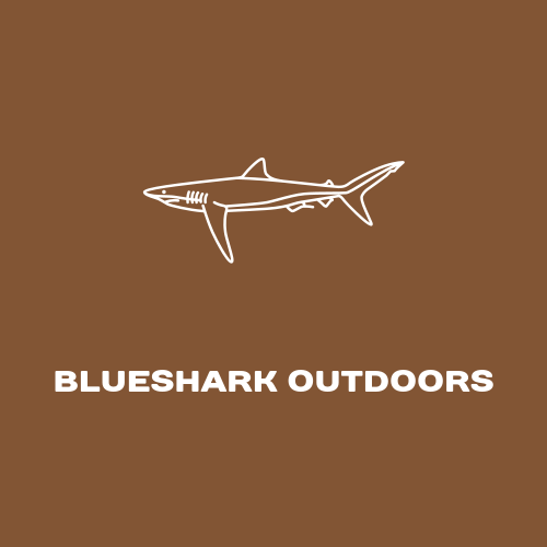 Blue shark logo