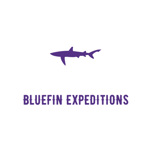 Logo Du Requin Bleu