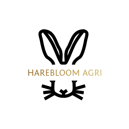 Hare logo