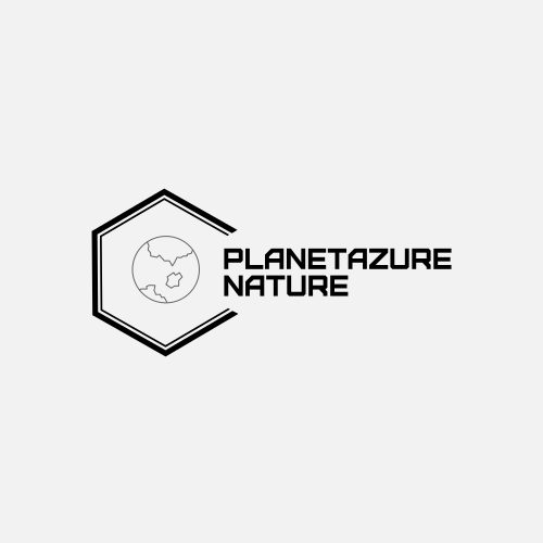 Blaues Planetenlogo