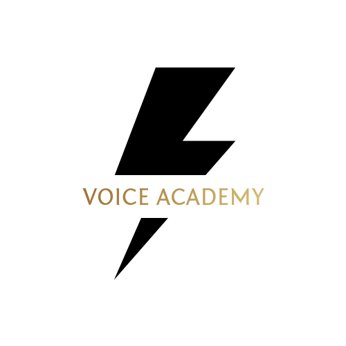 Vocal lessons logo