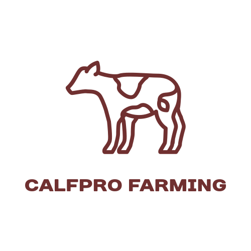 Calf logo