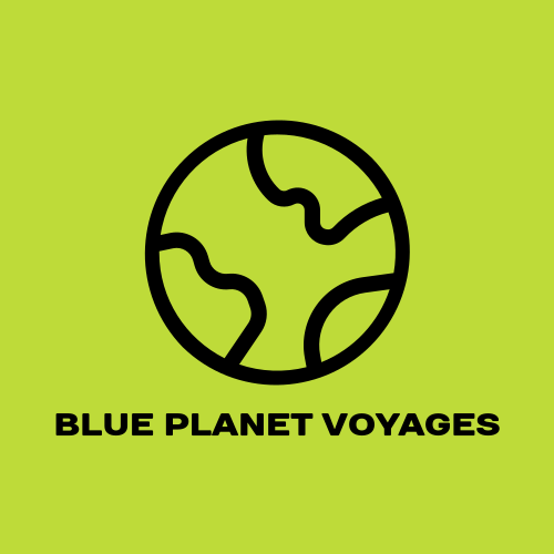 Blue globe logo