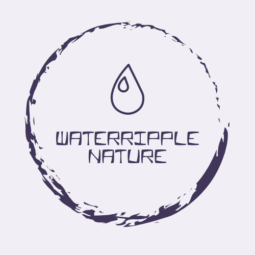 Logotipo De Ondulación Del Agua