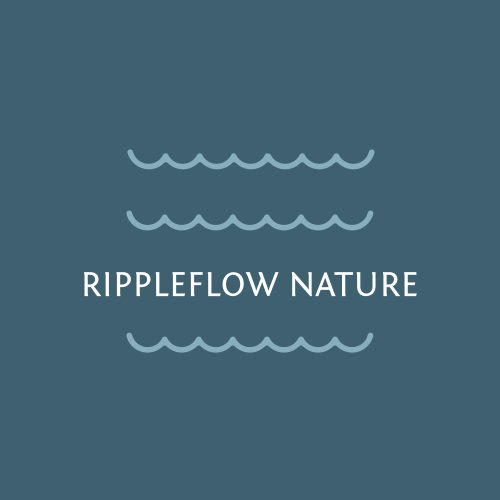 Water ripple logo