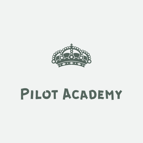 Logo Della Scuola Di Pilotaggio