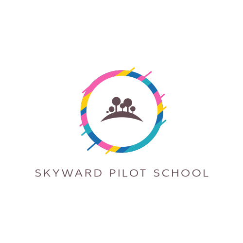 Logo De L'école De Pilotage